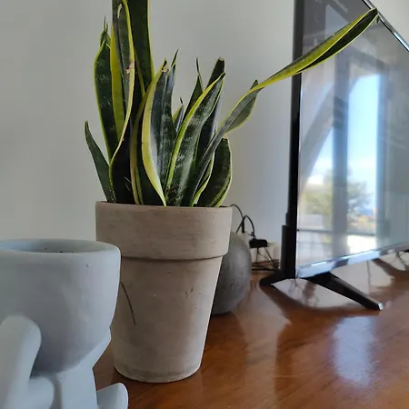 Chania-limani Splantzia-geada