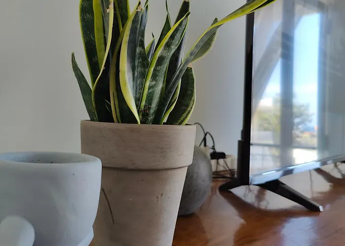 Chania-limani Splantzia-geada